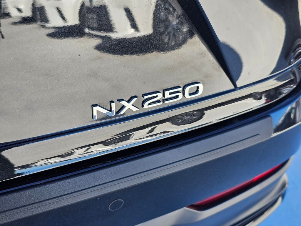 2025 Lexus NX 250 NX 250